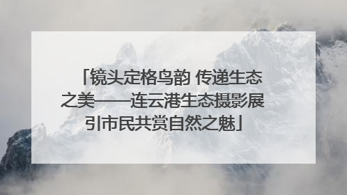 镜头定格鸟韵 传递生态之美——连云港生态摄影展引市民共赏自然之魅