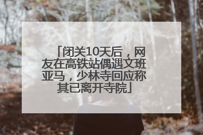 闭关10天后，网友在高铁站偶遇文班亚马，少林寺回应称其已离开寺院