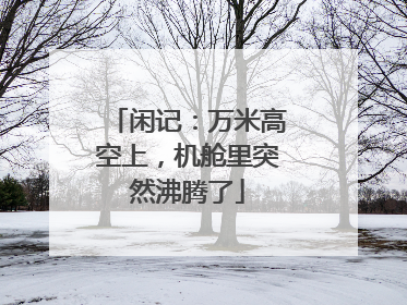 闲记：万米高空上，机舱里突然沸腾了