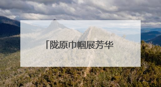陇原巾帼展芳华 科技赋能促发展