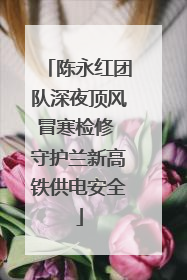 陈永红团队深夜顶风冒寒检修 守护兰新高铁供电安全