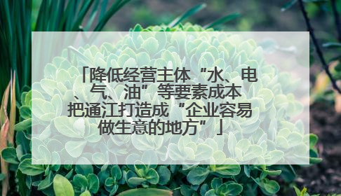降低经营主体“水、电、气、油”等要素成本 把通江打造成“企业容易做生意的地方”