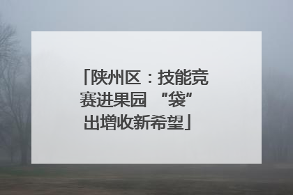陕州区：技能竞赛进果园 “袋”出增收新希望