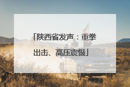 陕西省发声：重拳出击、高压震慑