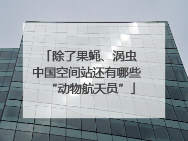 除了果蝇、涡虫 中国空间站还有哪些“动物航天员”