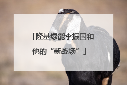 隆基绿能李振国和他的“新战场”