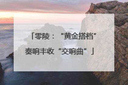 零陵：“黄金搭档”奏响丰收“交响曲”
