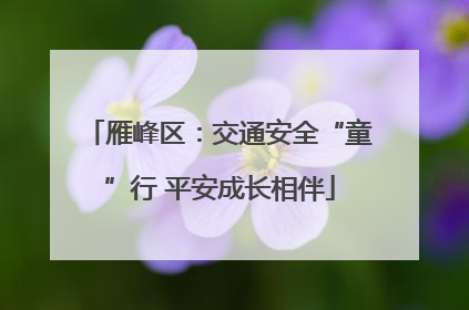 雁峰区：交通安全“童”行 平安成长相伴