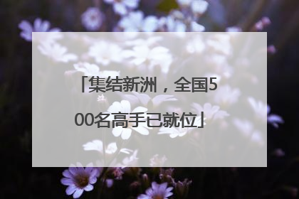 集结新洲，全国500名高手已就位