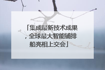 集成最新技术成果，全球最大智能铺排船亮相上交会