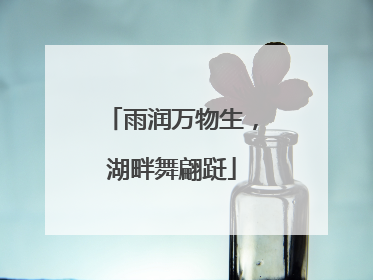 雨润万物生，湖畔舞翩跹