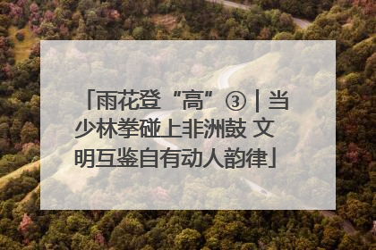 雨花登“高”③｜当少林拳碰上非洲鼓 文明互鉴自有动人韵律