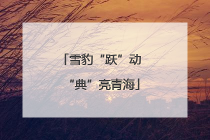 雪豹“跃”动 “典”亮青海