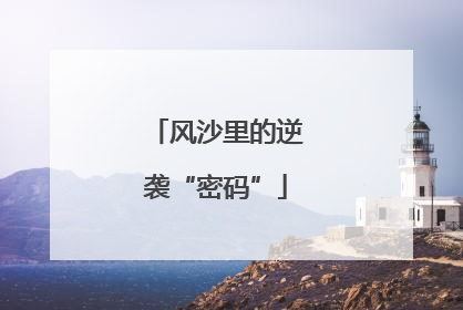 风沙里的逆袭“密码”