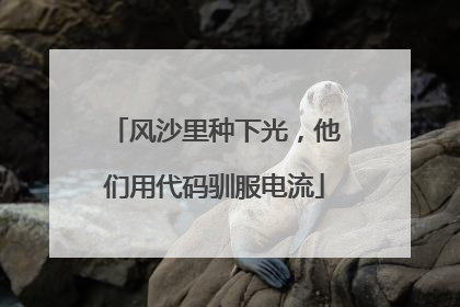 风沙里种下光，他们用代码驯服电流
