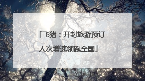 飞猪：开封旅游预订人次增速领跑全国