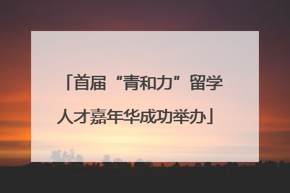 首届“青和力”留学人才嘉年华成功举办