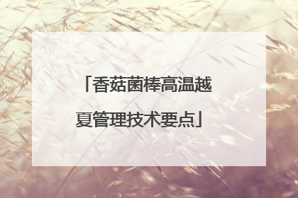 香菇菌棒高温越夏管理技术要点