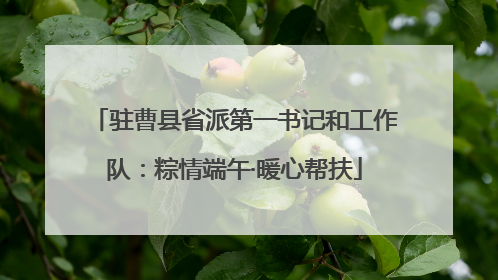 驻曹县省派第一书记和工作队：粽情端午·暖心帮扶