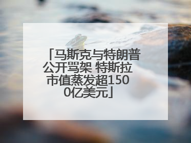 马斯克与特朗普公开骂架 特斯拉市值蒸发超1500亿美元