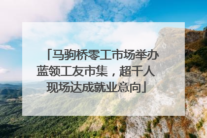 马驹桥零工市场举办蓝领工友市集，超千人现场达成就业意向