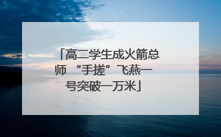 高二学生成火箭总师 “手搓”飞燕一号突破一万米