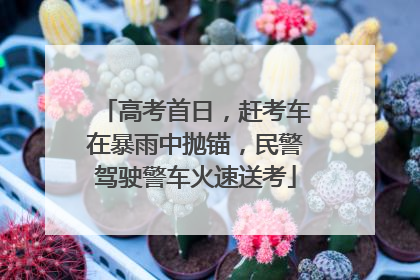 高考首日，赶考车在暴雨中抛锚，民警驾驶警车火速送考
