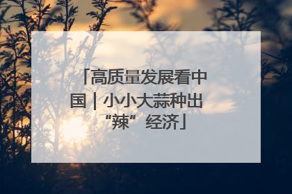 高质量发展看中国｜小小大蒜种出“辣”经济