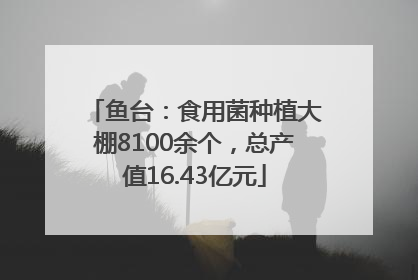 鱼台：食用菌种植大棚8100余个，总产值16.43亿元