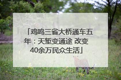 鸡鸣三省大桥通车五年：天堑变通途 改变40余万民众生活