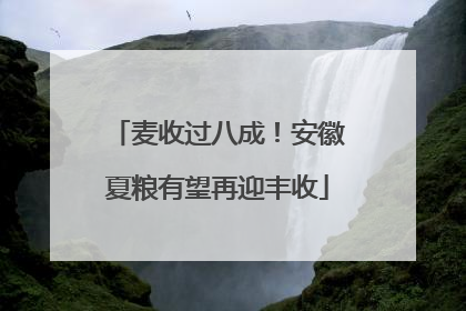 麦收过八成！安徽夏粮有望再迎丰收