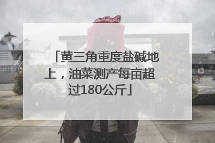 黄三角重度盐碱地上，油菜测产每亩超过180公斤