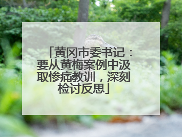 黄冈市委书记：要从黄梅案例中汲取惨痛教训，深刻检讨反思