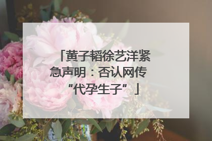 黄子韬徐艺洋紧急声明：否认网传 “代孕生子”