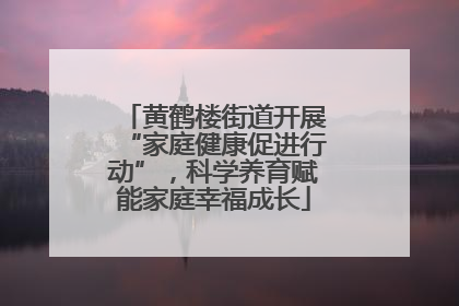 黄鹤楼街道开展“家庭健康促进行动”，科学养育赋能家庭幸福成长