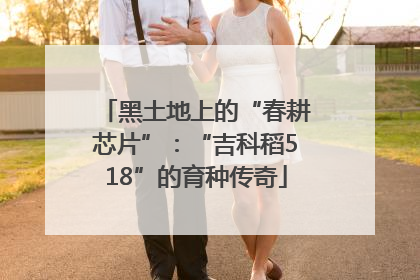黑土地上的“春耕芯片”：“吉科稻518”的育种传奇