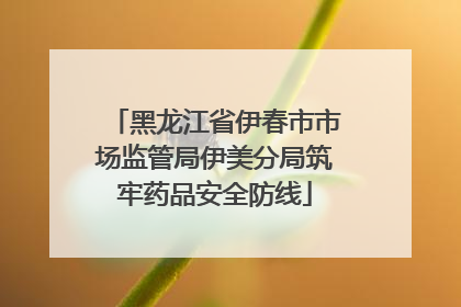 黑龙江省伊春市市场监管局伊美分局筑牢药品安全防线
