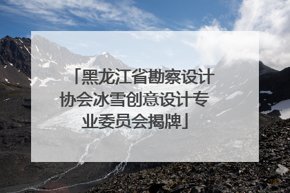 黑龙江省勘察设计协会冰雪创意设计专业委员会揭牌