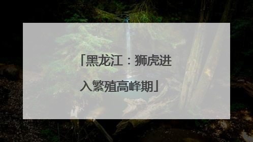 黑龙江：狮虎进入繁殖高峰期