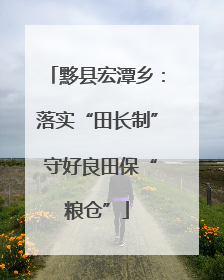 黟县宏潭乡：落实“田长制” 守好良田保“粮仓”