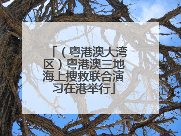 （粤港澳大湾区）粤港澳三地海上搜救联合演习在港举行