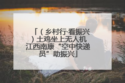 （乡村行·看振兴）土鸡坐上无人机 江西南康“空中快递员”助振兴