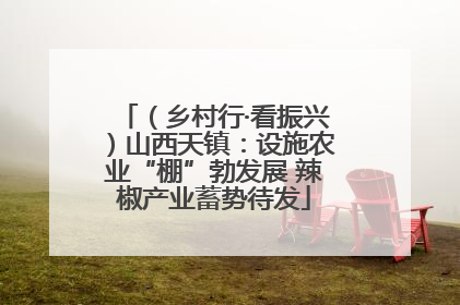 （乡村行·看振兴）山西天镇：设施农业“棚”勃发展 辣椒产业蓄势待发