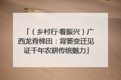 （乡村行·看振兴）广西龙脊梯田：背篓变迁见证千年农耕传统魅力