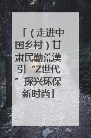 （走进中国乡村）甘肃民勤荒漠引“Z世代”探兴环保新时尚