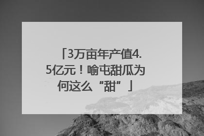 3万亩年产值4.5亿元！喻屯甜瓜为何这么“甜”