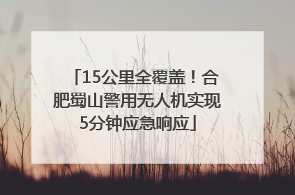 15公里全覆盖！合肥蜀山警用无人机实现5分钟应急响应