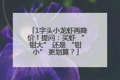 1字头小龙虾再降价！提问：买虾 “钳大” 还是 “钳小” 更划算？