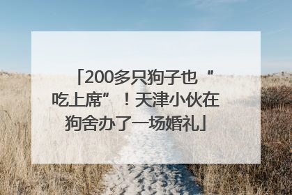200多只狗子也“吃上席”！天津小伙在狗舍办了一场婚礼