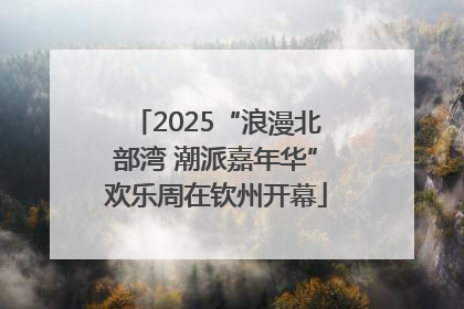 2025“浪漫北部湾 潮派嘉年华”欢乐周在钦州开幕